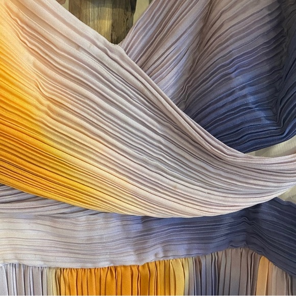 A.L.C. Sienna Ombre Dress in Multi Ombre Pleated in Size 6 - Picture 14 of 15